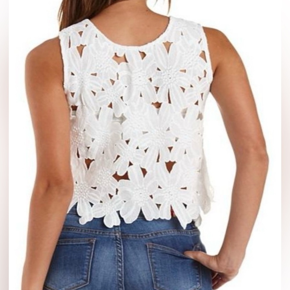 EUC Caution to the Wind-White Daisy Lace Crop Top. Size M. - Picture 4 of 11